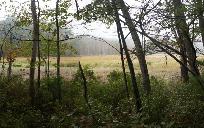 Mill Brook Point 06