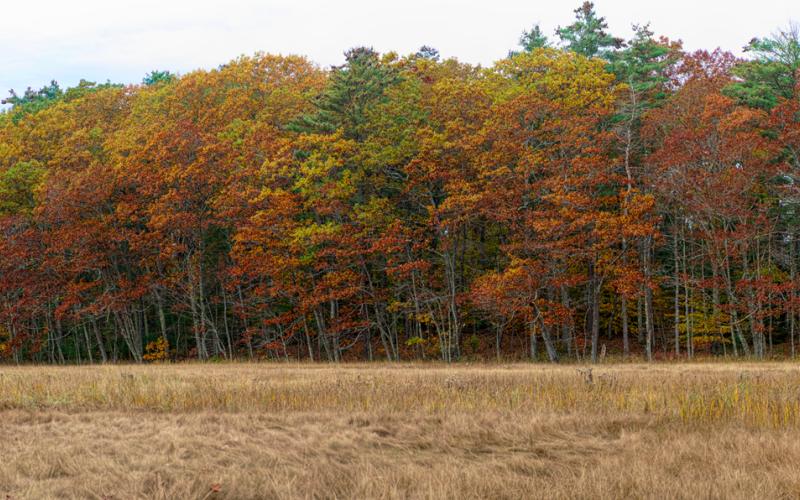 Mill Brook Point 06