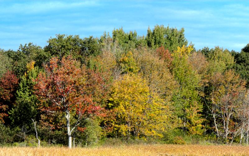 Mill Brook Point 06
