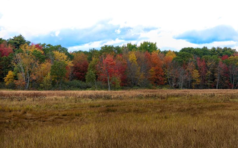 Mill Brook Point 06