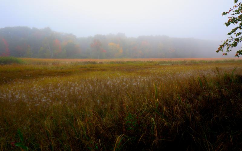 Mill Brook Point 06