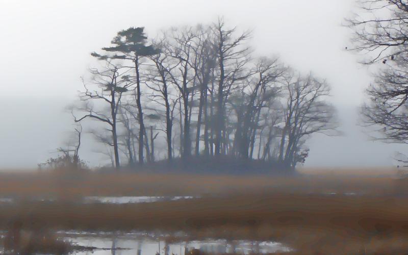 Mill Brook Point 06
