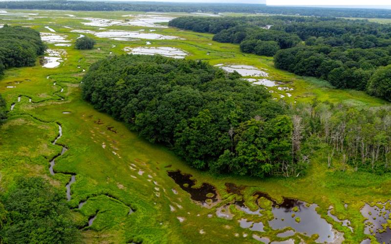 Mill Brook Point 06