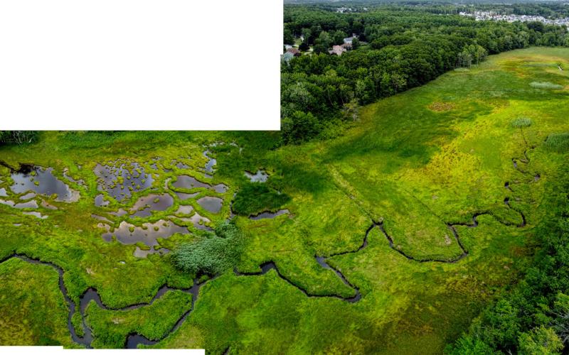 Mill Brook Point 06