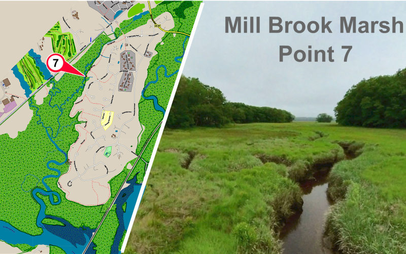 Mill Brook Marsh - Point 7