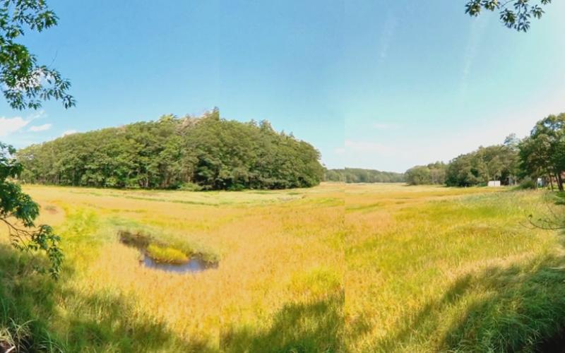 Mill Brook Marsh - Point 8 - Panorama
