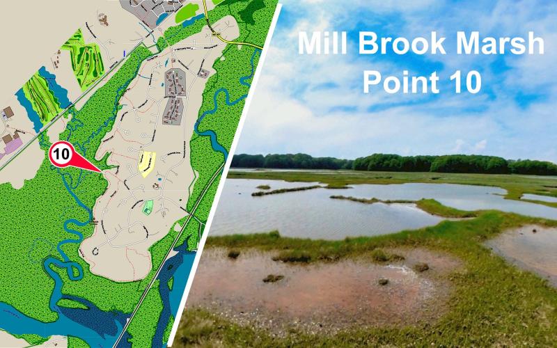 Mill Brook Marsh - Point 10