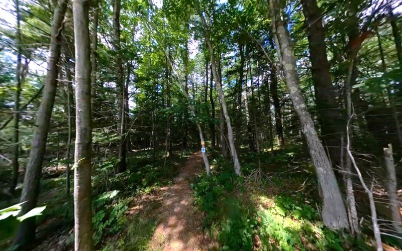 Blue Heron Trail
