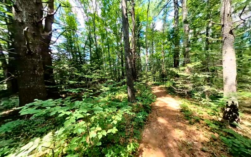 Blue Heron Trail