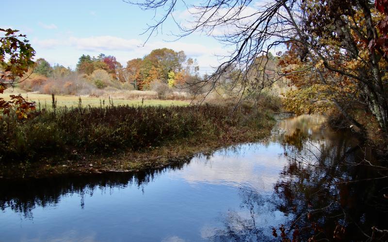 View of the Nonesuch from town open space
