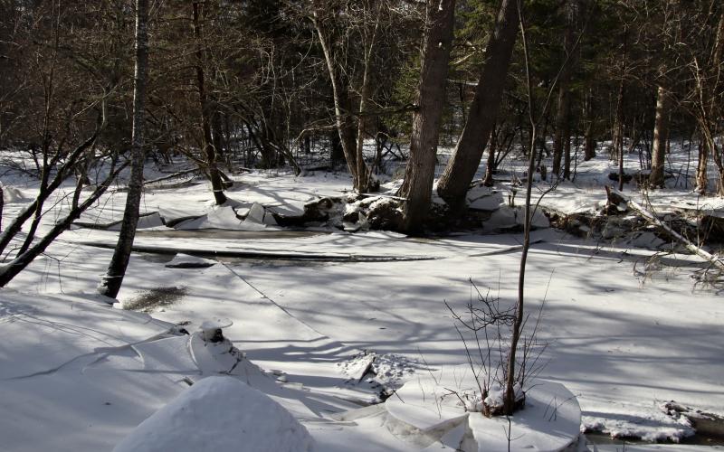 from trails near Fengler Road