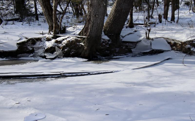From trails near Fengler Road