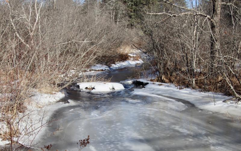 Nonesuch Headwaters from McKenney Rd.