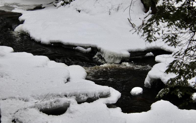Headwaters in the Thurston Mills site