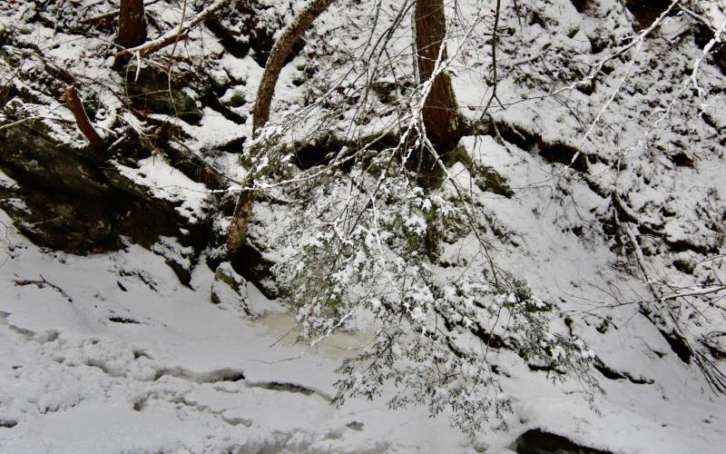 Headwaters in Thurston Mills