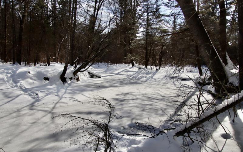 from the trails in Fuller Farm