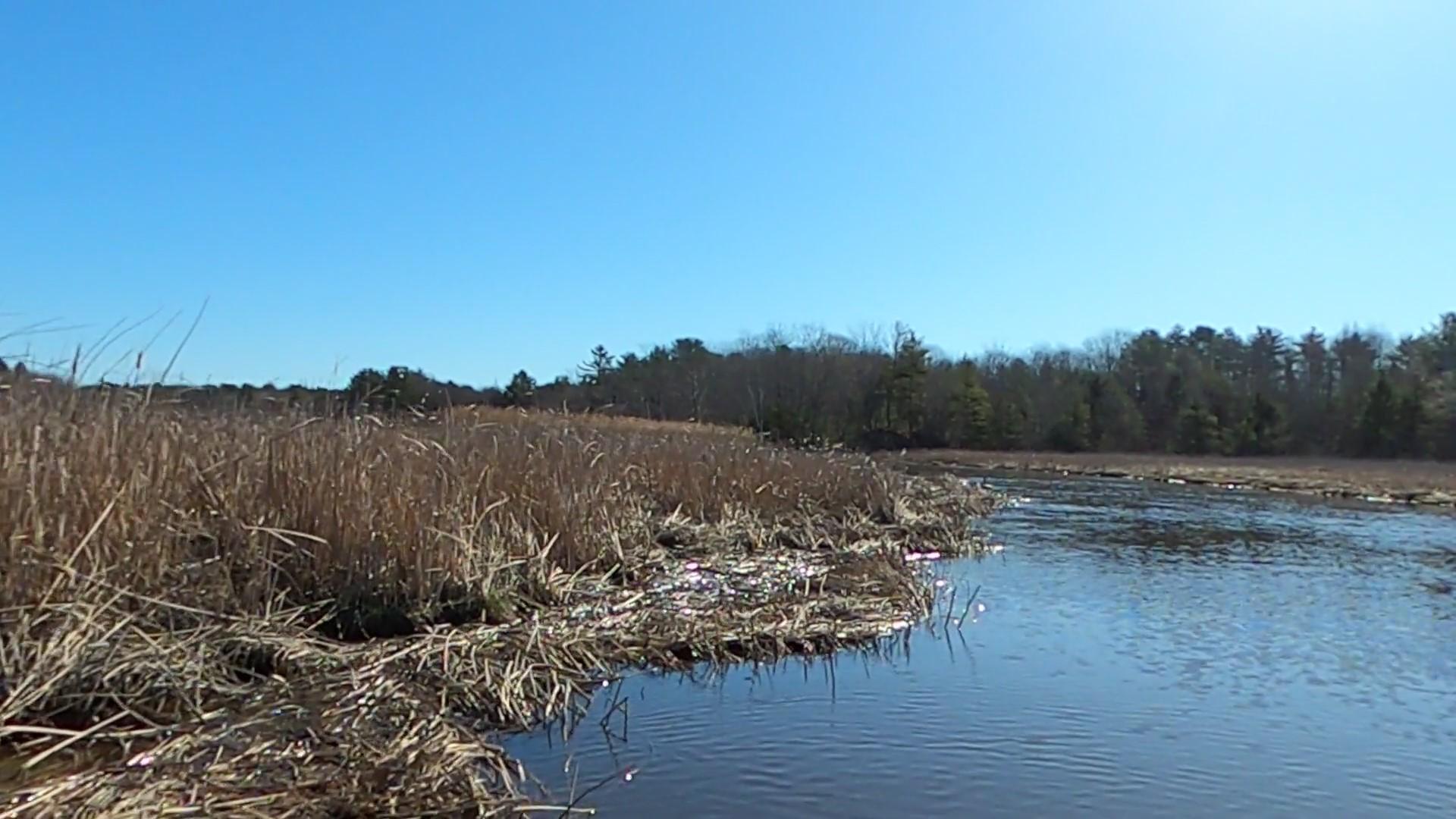Image from video