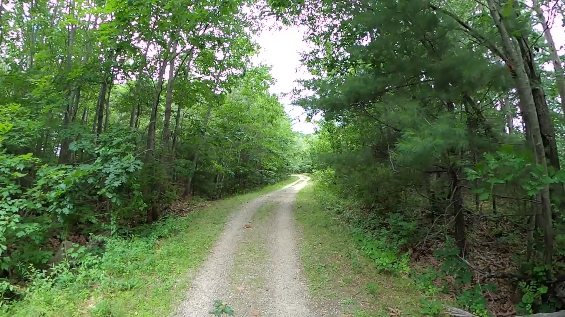 Image from video