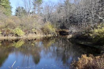Looking downstream from Mitchell Hill Rd; this is at the edge of the Oak Hollow property.