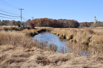 From the east side of Black Point Rd.