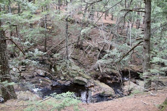 Nonesuch Headwaters