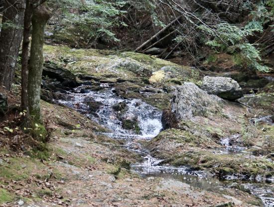 Nonesuch Headwaters