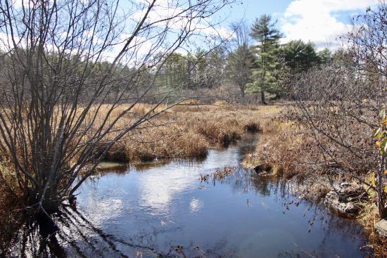 Nonesuch Headwaters