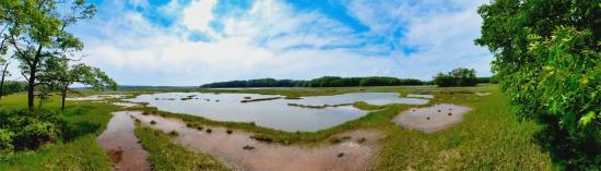 Mill Brook Marsh - Point 10 - Panorama