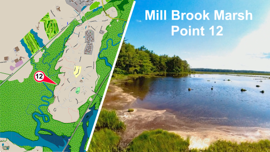 Mill Brook Marsh - Point 12