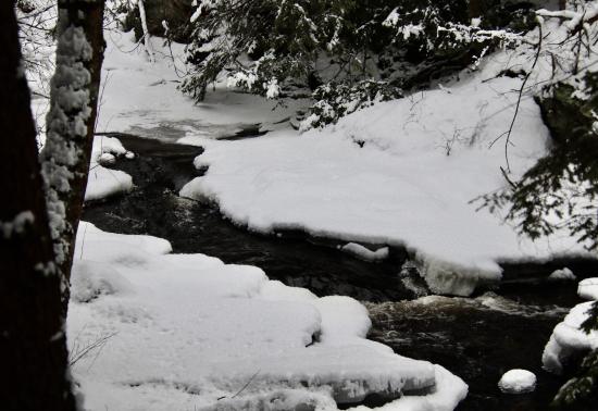 Headwaters in the Thurston Mills site