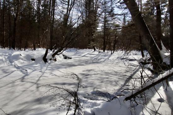 from the trails in Fuller Farm